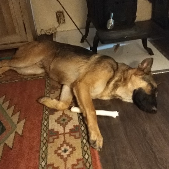 Meet your Posher, Mary - Picture 5 of 5